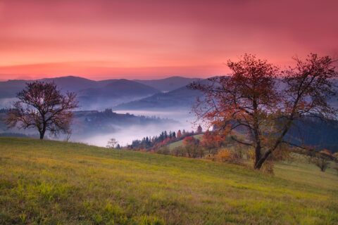 Krajina